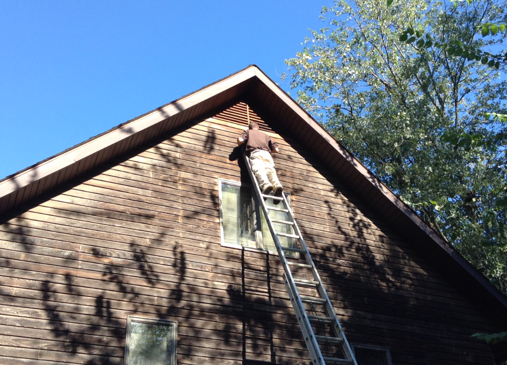 Wildlife specialist at the top of a ladder setting up bat deterrents on an attic gable vent