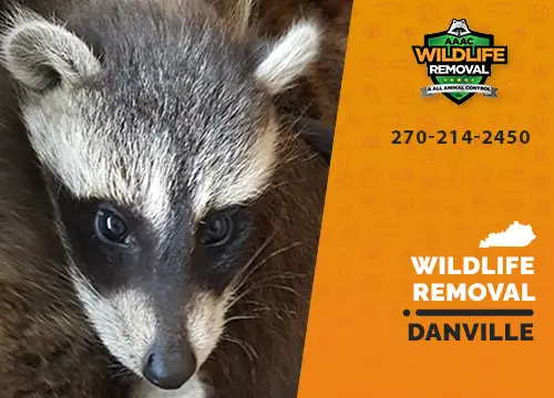 Danville Wildlife Removal professional removing pest animal